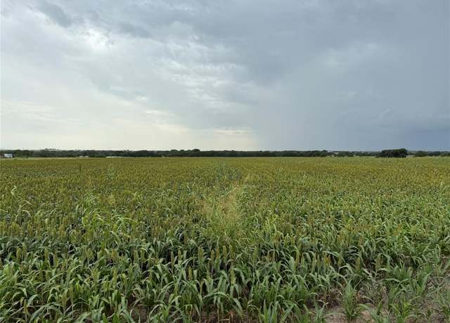 Property at TBD0000 Cr-237, Gainesville, TX 76240