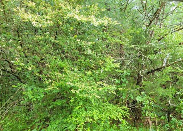 Property at 000 Brookshire Dr, Gordonville, TX 76245