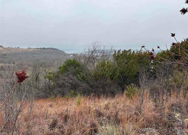 Property at 1055 Honeysuckle Ct, Graford, TX 76449