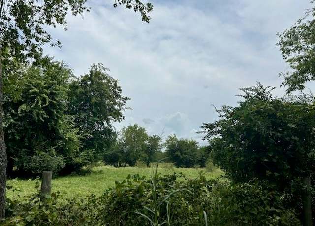 Property at TBD2E County Road 3528, Saltillo, TX 75478