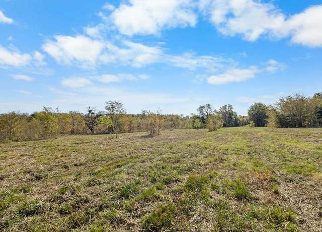 Property at 2353 County Road 4225, Enloe, TX 75441