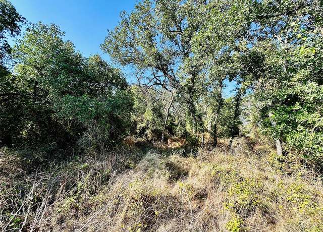 Property at TBD County Road 429, Cross Plains, TX 76443