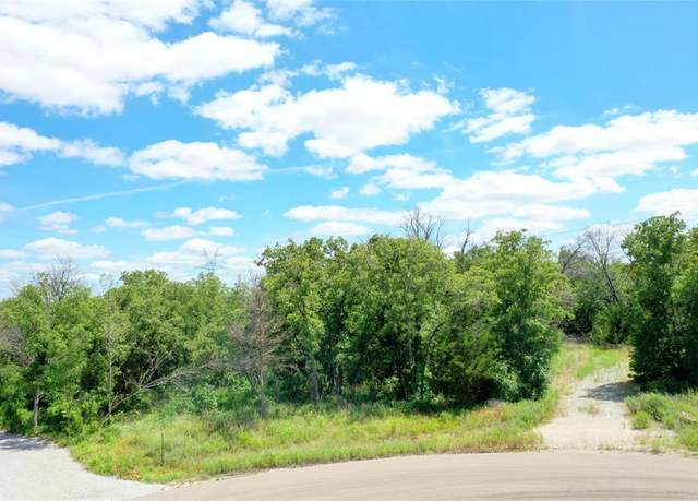 Property at 120 Bear Cat Ct, Alvord, TX 76225