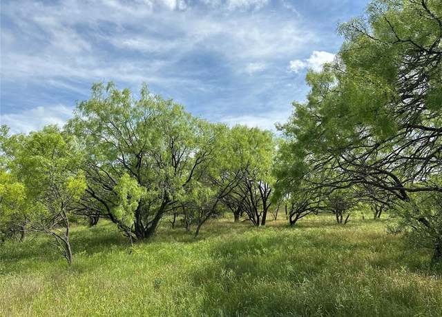 Property at Tract 15 CR 150, Abilene, TX 79601