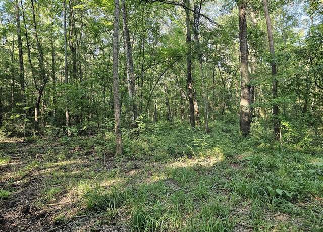 Property at TBD Strickland Rd, Big Sandy, TX 75755
