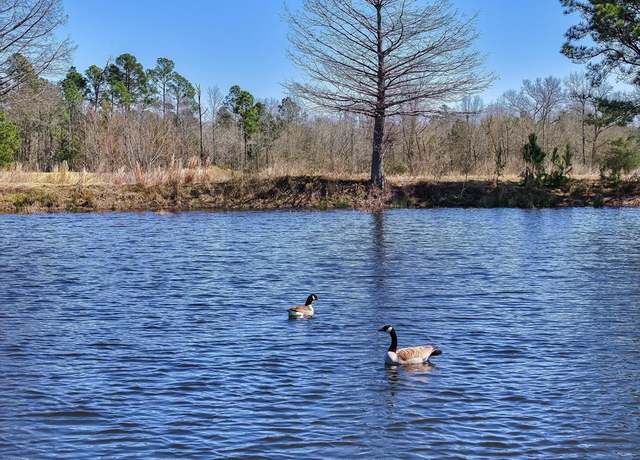 Property at 000 State Highway 64, Ben Wheeler, TX 75754