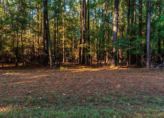 Property at TBD Wildwood Trl, Mount Vernon, TX 75457