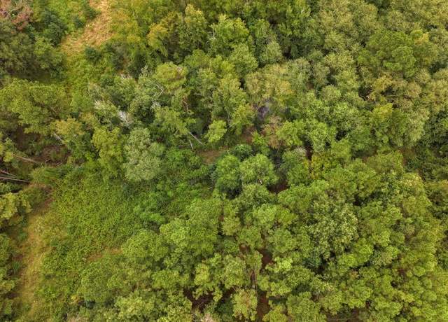 Property at 1 Jasmine Rd, Gilmer, TX 75645