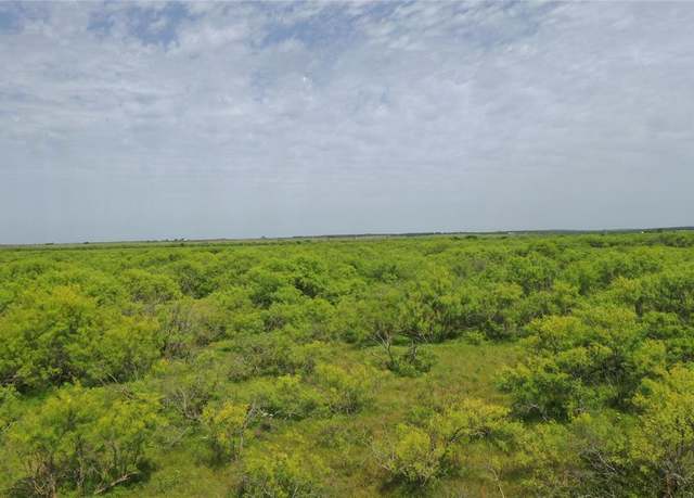 Property at TBD FM 2321-tract 1, Bellevue, TX 76228