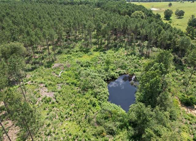 Property at TBD County Road 3706, Tenaha, TX 75974