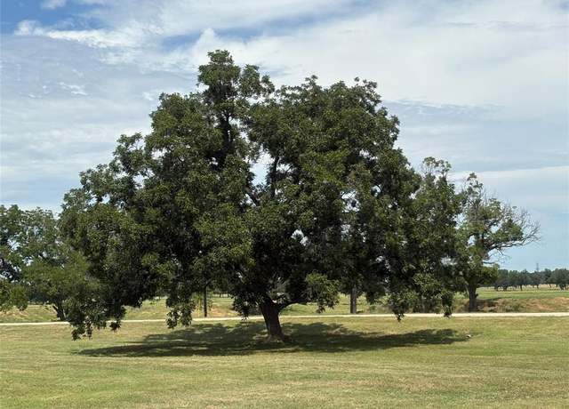 Property at 1078 River Ranch Ln, Weatherford, TX 76087