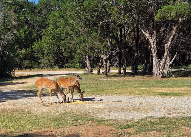 Property at 1940 Roadrunner Rd, Possum Kingdom Lake, TX 76449