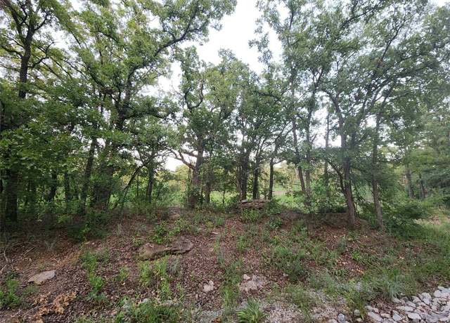 Property at 491 County Road 1770, Chico, TX 76431