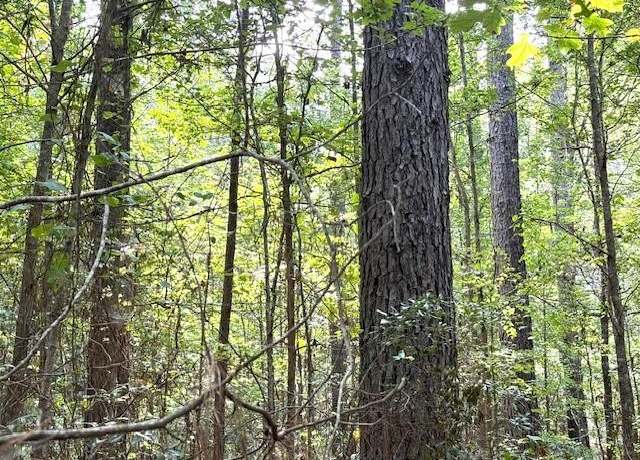 Property at 000 Highway 615 Hwy, Haynesville, LA 71038