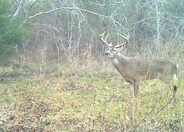 Property at 3324 County Road 3206, Dawson, TX 76639