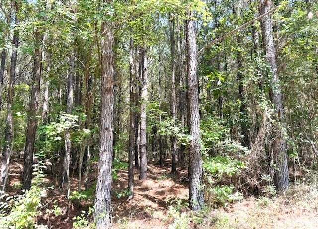Property at 000 Highway Hwy, Homer, LA 71040