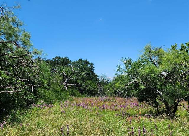Property at TBD County Road 127, Rising Star, TX 76471