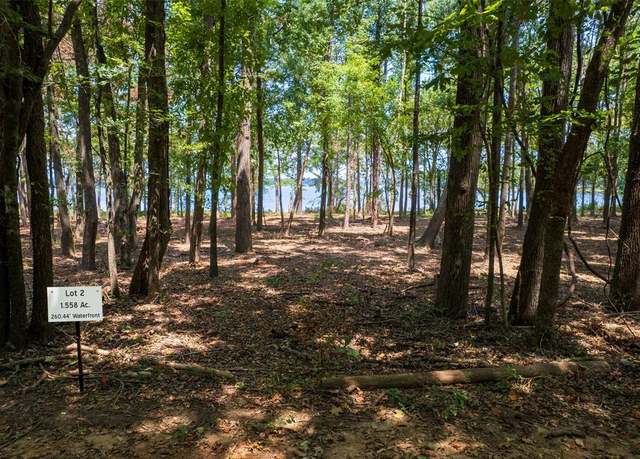 Property at TBD Pvt Rd 52447, Leesburg, TX 75451