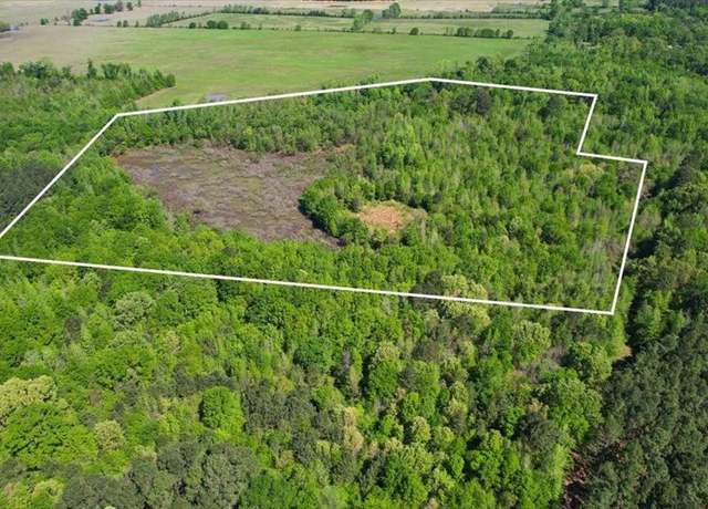 Property at TBD County Road 1143, Daingerfield, TX 75638