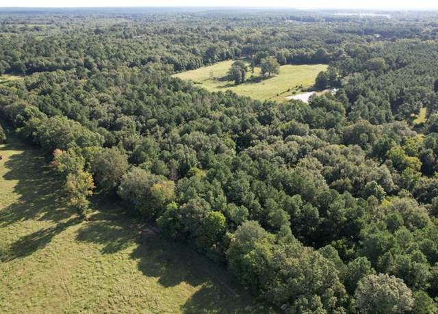 Property at TBD County Road 168-1, Long Branch, TX 75669