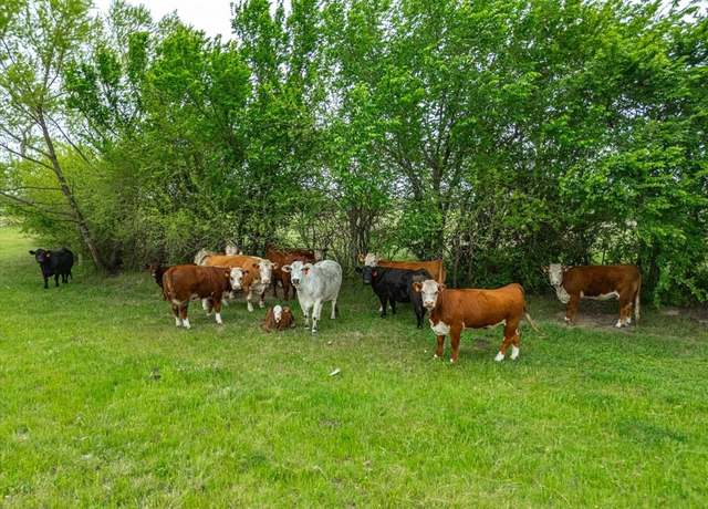 Property at TBD Lot PT 15 & 16 County Road 1271, Alvord, TX 76225
