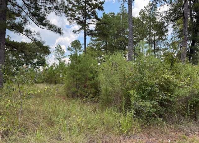 Property at 0 Hwy 157, Benton, LA 71006