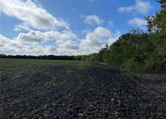 Property at TBD CR 117 Rd, Rogers, TX 76569