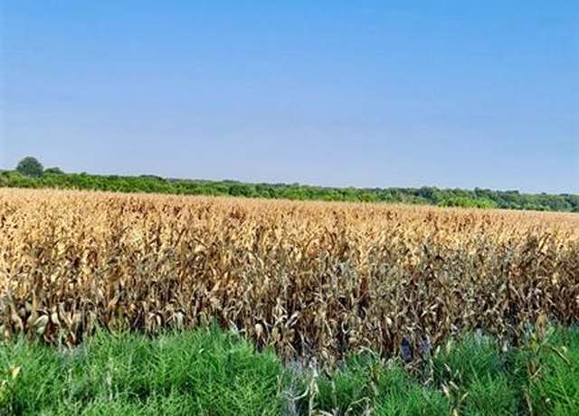 Property at T B D FM 1528, Cooper, TX 75432