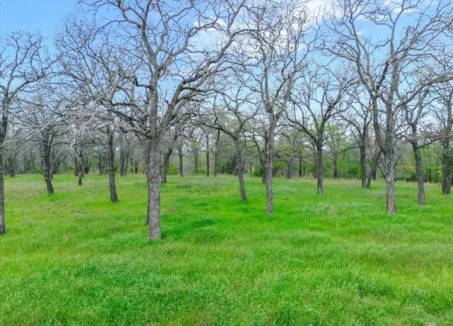 Property at Lot 29 Block 1 Vaquero Dr, Weatherford, TX 76088