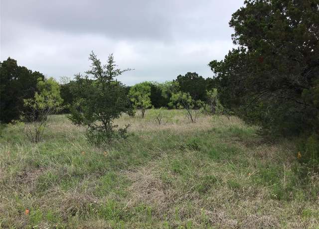 Property at 44163 High Crest Dr, Whitney, TX 76692