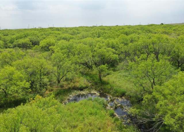 Property at TBD Mcdonald Rd-tract 7, Bellevue, TX 76228