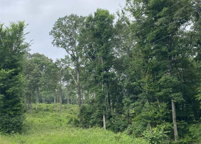 Property at TBD US Hwy 259, Ore City, TX 75683