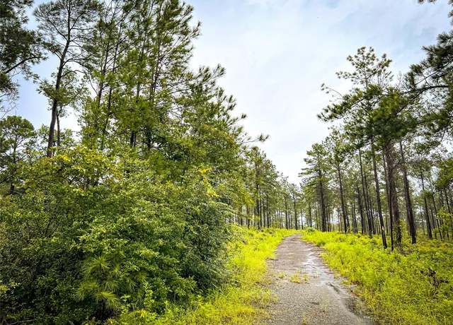 Property at 4 CR 257, Jasper, TX 75951