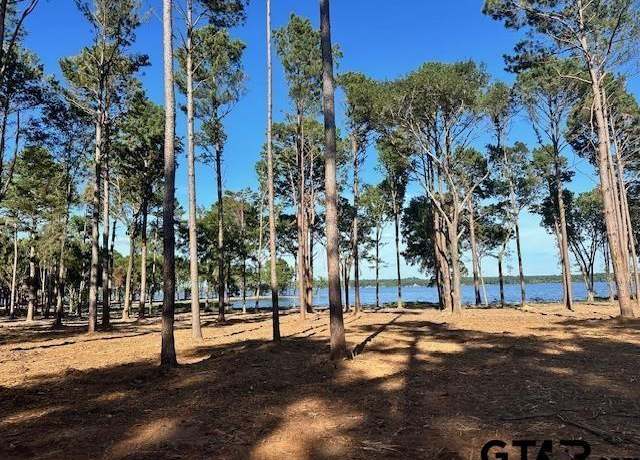 Property at CR 309 CR 309, Frankston, TX 75763