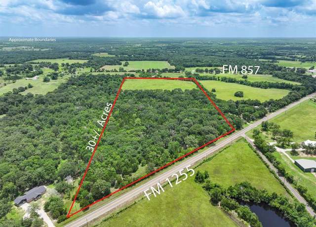 Property at 30 Acres FM 1255, Grand Saline, TX 75140