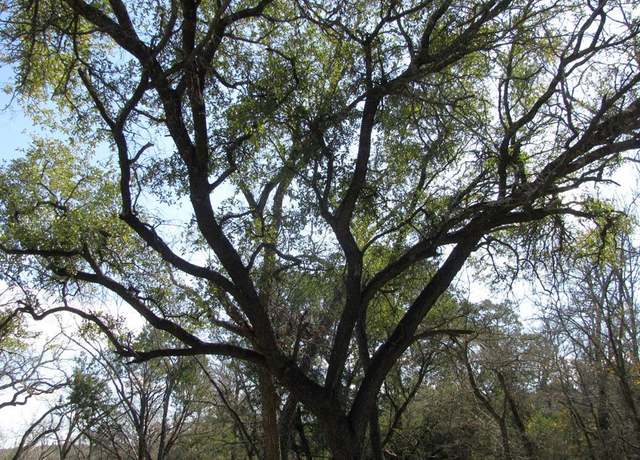 Property at Lot 42 Ph 4 PR 42129, Evant, TX 76525