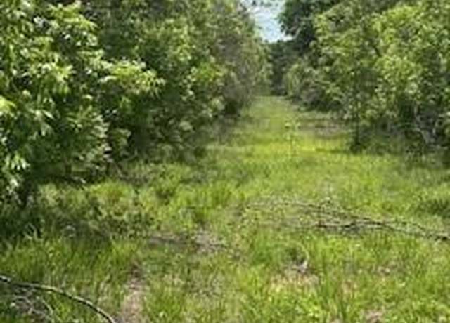 Property at 322 County Road 146, De Leon, TX 76444