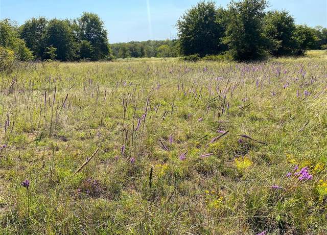 Property at 15 acres Cr-1650, Chico, TX 76431