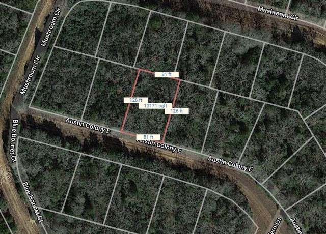Property at Lot 51 E Austin Colony, Normangee, TX 77871
