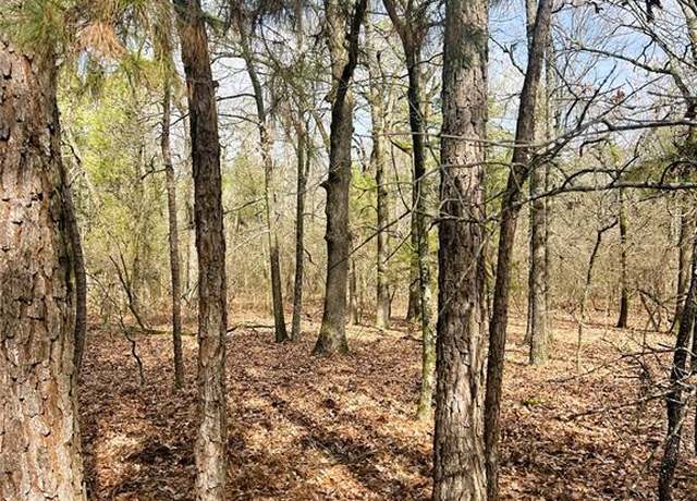 Property at 000 Private Road 8000, Winnsboro, TX 75494