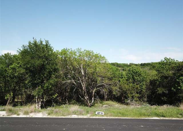 Property at 163 Hanna Oak Ct, Bridgeport, TX 76426