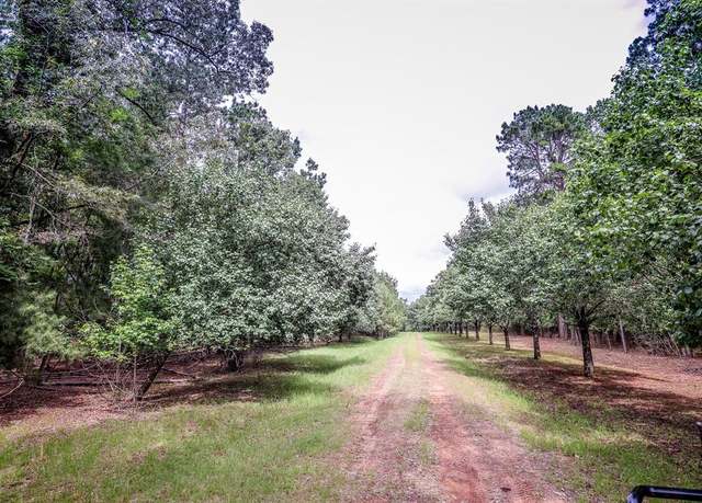 Property at 2188 Harkins Ln, Marshall, TX 75672