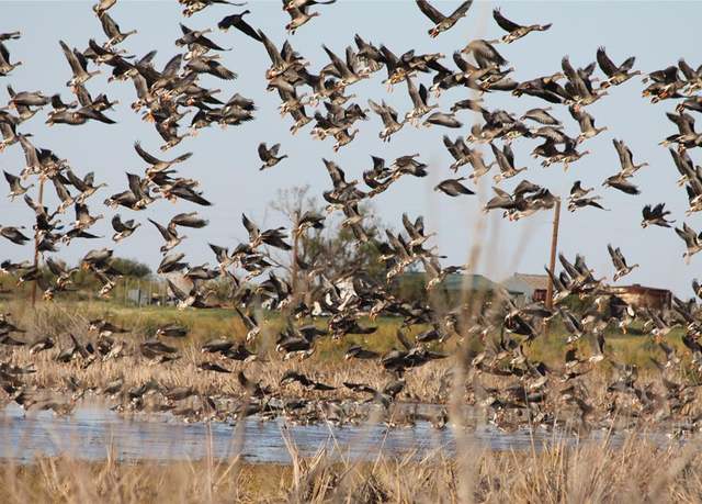 Property at 359 Acres CR 164, No City, TX 79521