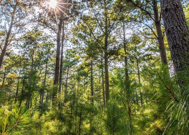 Property at Tract 8 County Road 4221, Frankston, TX 75763