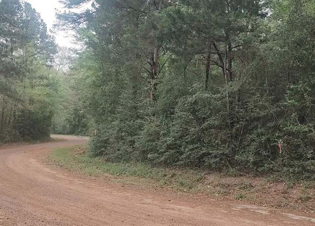 Property at TBD County Road 165, Long Branch, TX 75669