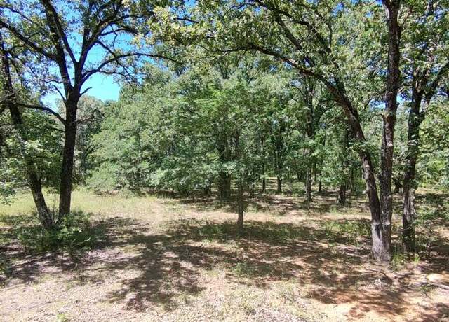 Property at Lot 19 Saddle Creek Ct, Alba, TX 75410