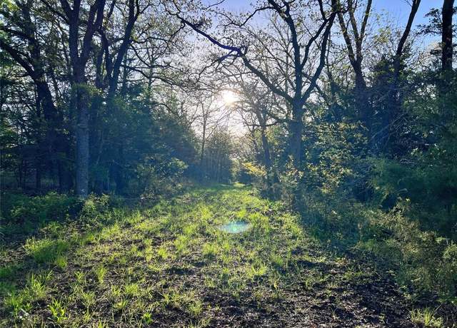 Property at 0000 County Road 417, Muenster, TX 76252