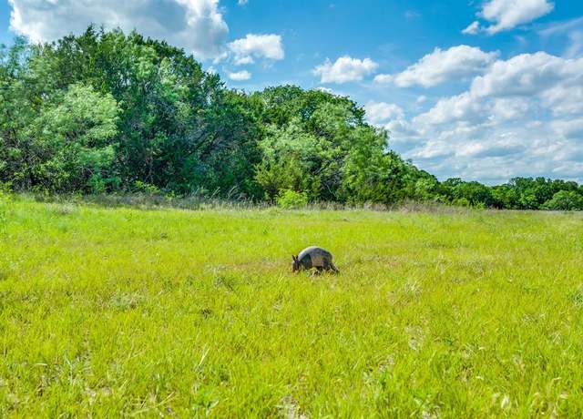 Property at TBD County Road 175, Stephenville, TX 76401