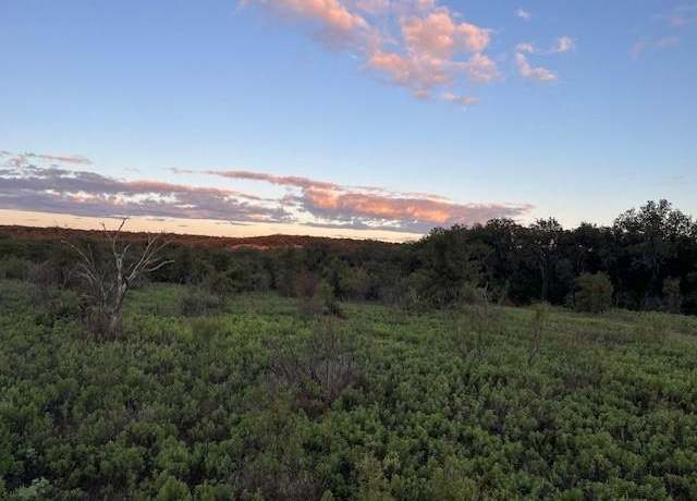 Property at 73 ac Hwy 16, Loving, TX 76460