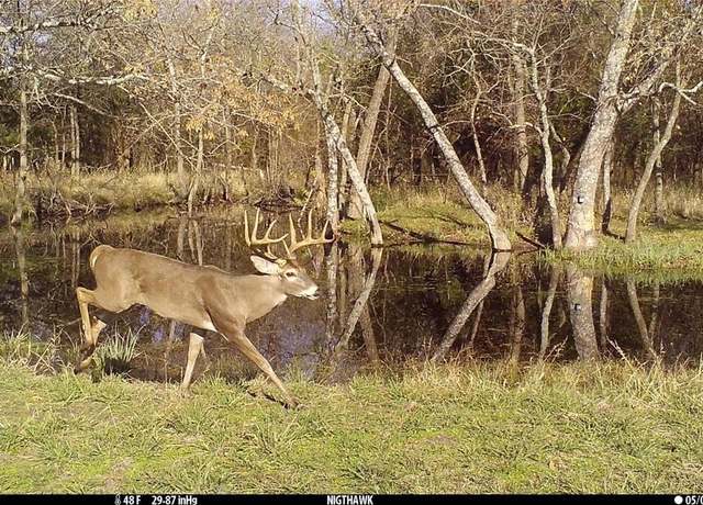 Property at 1890 Mamie Rd, Greenville, TX 75402
